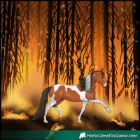 Horse Color:Bay Tobiano 
