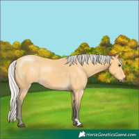 Horse Color:Silver Buckskin