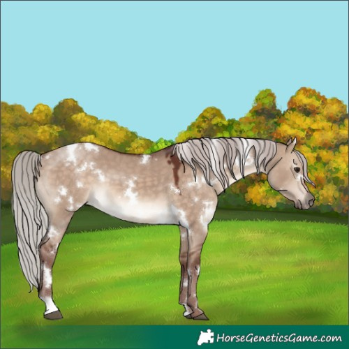 Horse Color:White Spotted Chocolate Silver Brown Dun 