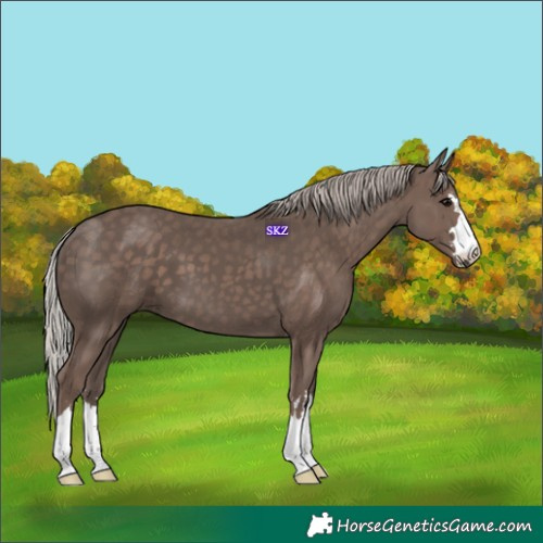 Horse Color:Silver Black 