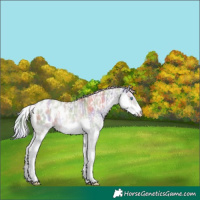 Horse Color:White Spotted Silver Smoky Creme Ice Onyx  and Nacre Silver Grullo Ice Onyx Splash Blanket 