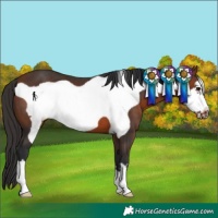 Horse Color:Brown Frame