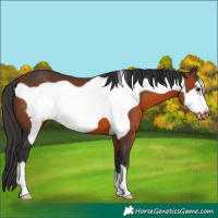 Horse Color:Brown Frame