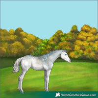 Horse Color:White Spotted Silver Brown Ice Onyx Splash