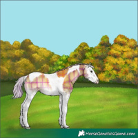 Horse Color:Plaid White Spotted Silver Brown Onyx Mushroom Tobiano