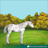Horse Color:Nacre White Spotted Silver Brown Ice Onyx Near Leopard