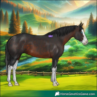 Horse Color:Brown Splash 