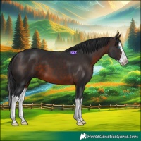 Horse Color:Brown Splash 