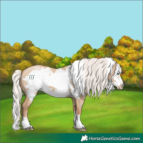 Horse Color:Silver Grullo Pearl Frame 