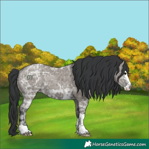 Horse Color:Grullo Ice