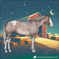 Horse Color:Silver Brown Roan Splash Varnish