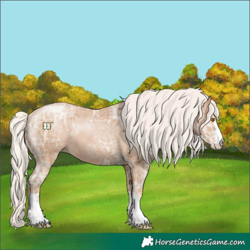 Horse Color:Silver Black Ice Pearl Rabicano 