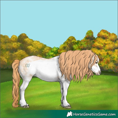 Horse Color:White Spotted Red Dun Ice Frame Rabicano 