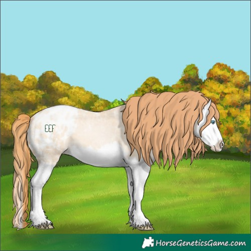 Horse Color:Buckskin Ice Pearl Dun Splash Appaloosa