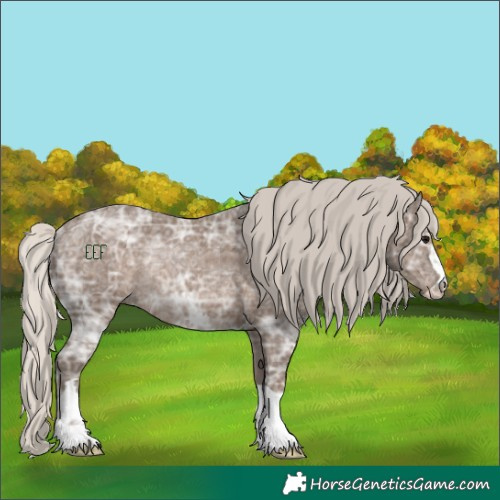 Horse Color:Silver Black Ice Rabicano