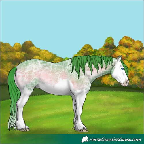 Horse Color:Watercolor Blue Onyx Ice Splash Rabicano