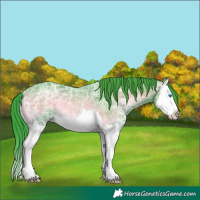 Horse Color:Watercolor Blue Onyx Ice Splash Rabicano 
