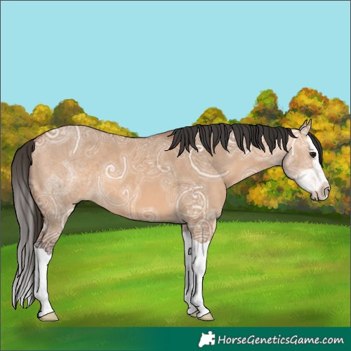 Horse Color:Bay Ice Dun Splash 