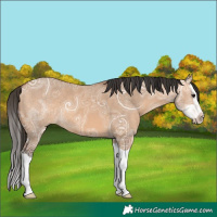 Horse Color:Bay Ice Dun Splash 