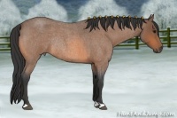 Horse Color:Buckskin Roan Rabicano 