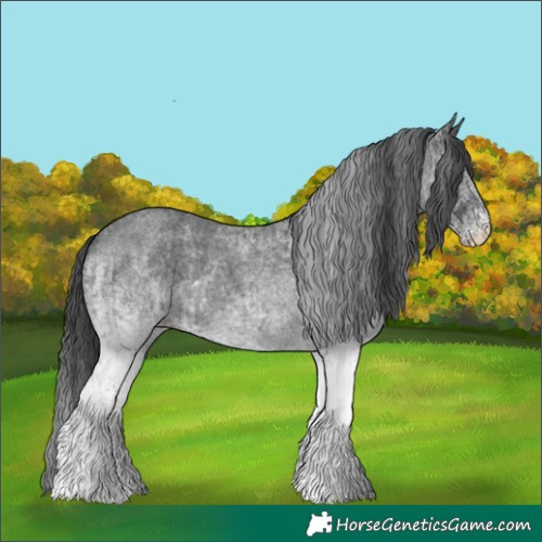 Horse Color:White Spotted Blue Roan Rabicano  and White Spotted Blue Roan Rabicano 