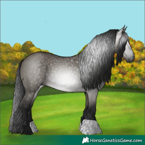 Horse Color:Gray Smoky Grullo 