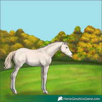 Horse Color:Perlino 