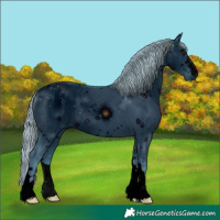 Horse Color:ERROR: UNKNOWN ANOMALY