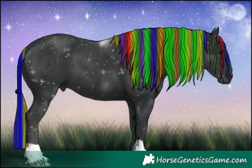 Horse Color:Painted Black 