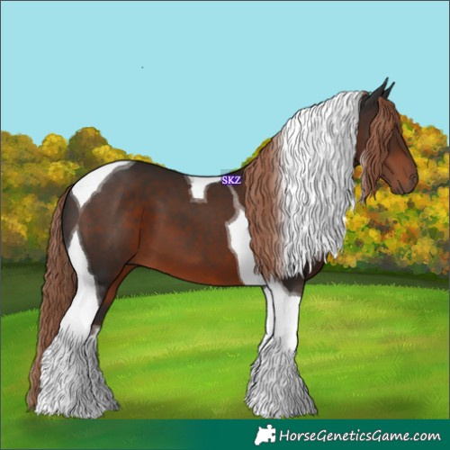 Horse Color:Liver Chestnut Tobiano 