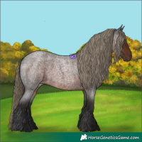 Horse Color:Liver Red Roan 