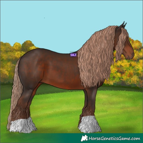 Horse Color:Liver Chestnut 