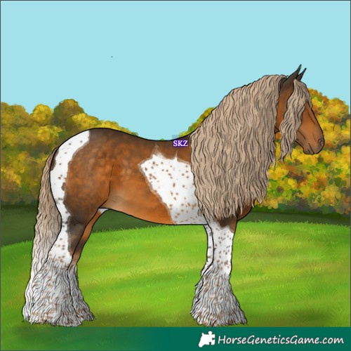 Horse Color:Chocolate Palomino Tobiano 