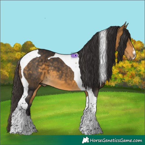 Horse Color:Buckskin Tobiano 