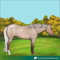 Horse Color:Silver Brown Roan Dun Brindle