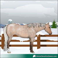 Horse Color:Silver Brown Roan Dun Brindle 