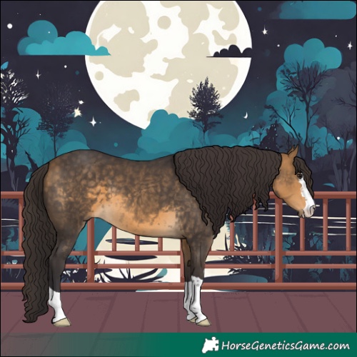 Horse Color:Buckskin 