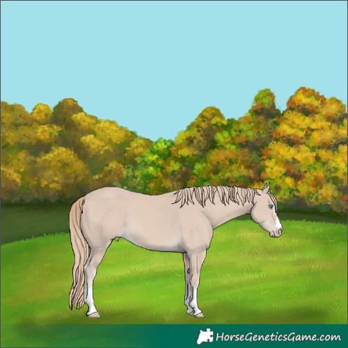 Horse Color:Smoky Creme 