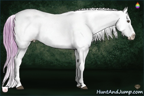 Horse Color:Watercolor Chestnut Near Fewspot 