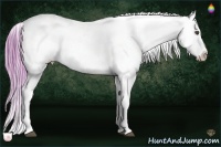 Horse Color:Watercolor Chestnut Appaloosa