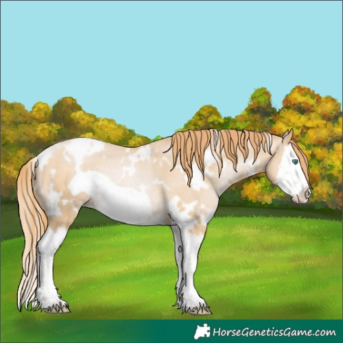 Horse Color:White Spotted Smoky Black Pearl Splash Frame Rabicano