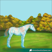 Horse Color:Thunderstruck Red Onyx Ice 