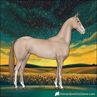 Horse Color:Black Pearl Sabino