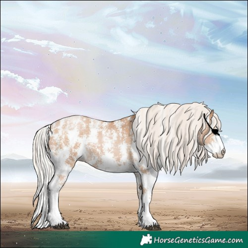 Horse Color:Silver Black Pearl Sabino 
