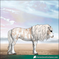 Horse Color:Silver Black Pearl Sabino