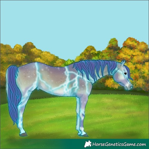 Horse Color:Thunderstruck Watercolor Grullo Onyx 