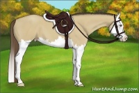 Horse Color:Classic Cream Champagne Dun Splash