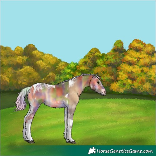 Horse Color:Nacre Silver Buckskin Onyx Tobiano 
