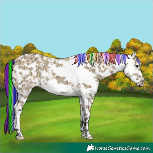 Horse Color:Painted White Spotted Buckskin Ice 