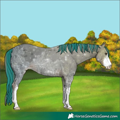 Horse Color:Painted White Spotted Liver Chestnut Ice 